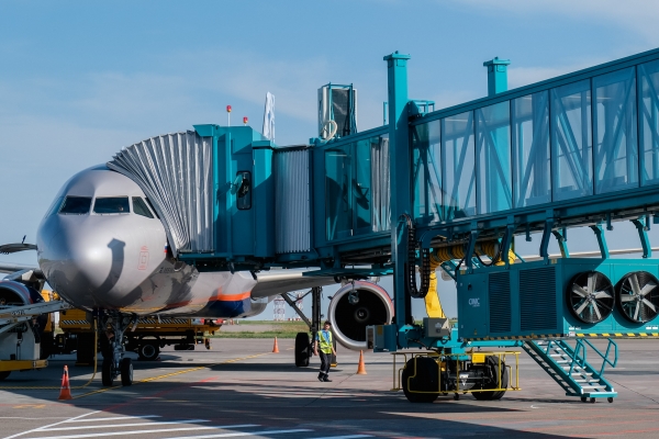 В волгоградском аэропорту женщину из самолета пришлось выводить полицейским