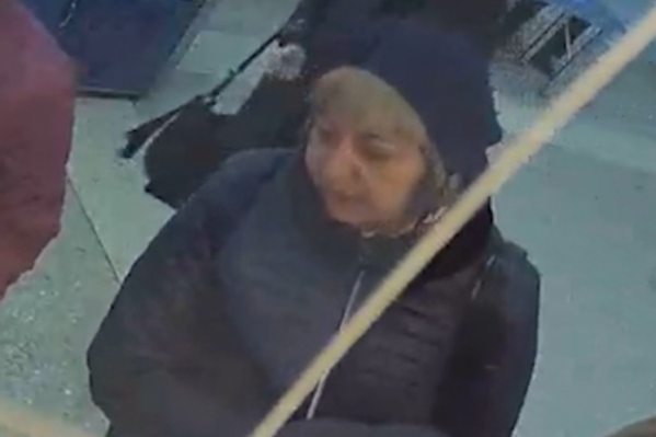 В Волжском разыскивают подозреваемую в краже кошелька у пенсионера
