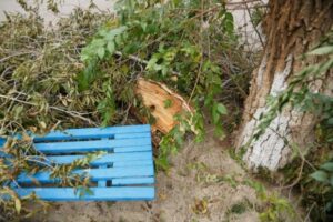 Сильный ветер и дожди продолжатся в Волгограде 21 апреля