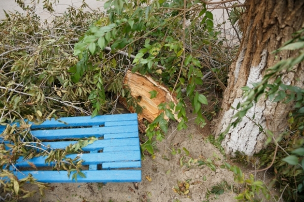 Сильный ветер и дожди продолжатся в Волгограде 21 апреля