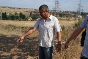 Установлена личность подозреваемого в умышленном поджоге в Городищенском районе