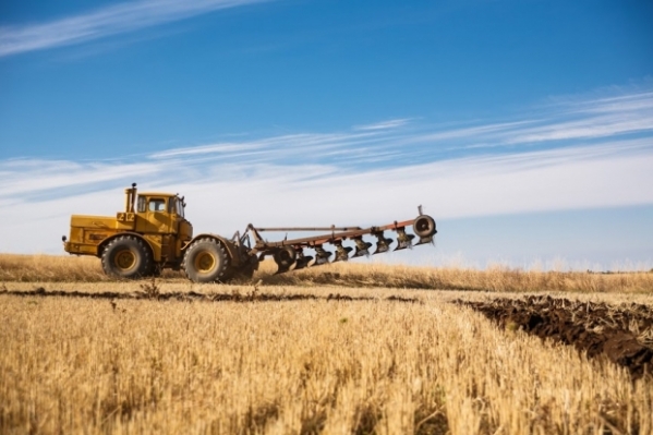 Бочаров назвал Клетский район одним из аграрных центров Волгоградской области