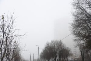 В Волгоградской области ожидается потепление до +5°С и туман