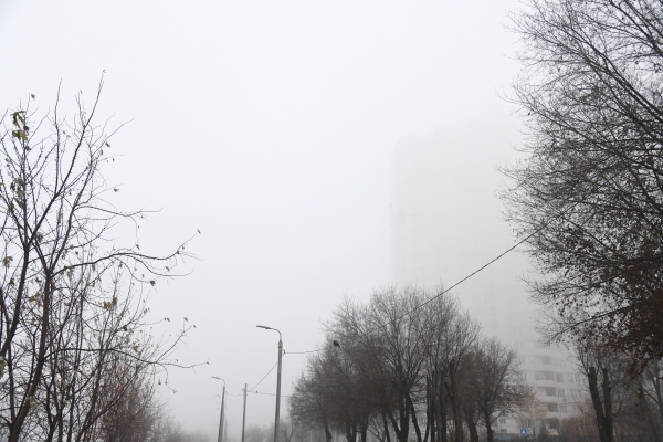 В Волгоградской области ожидается потепление до +5°С и туман