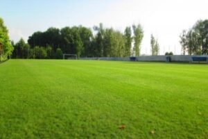 «Ротор-Волгоград» начал учебно-тренировочный сбор в Краснодарском крае