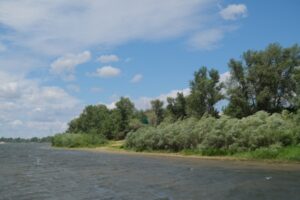 В Волгоградскую область 1 августа придет прохлада
