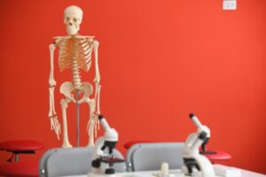 В Волгоградской области началась Неделя профилактики остеопороза