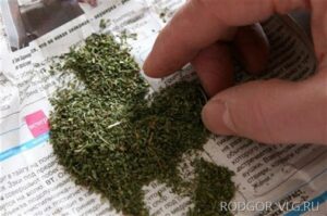 Под Волгоградом задержали пожилого мужчину с наркотиками в кармане