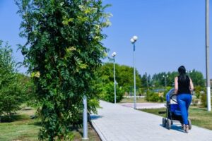 Пособие на первенца получили свыше 2000 волгоградок