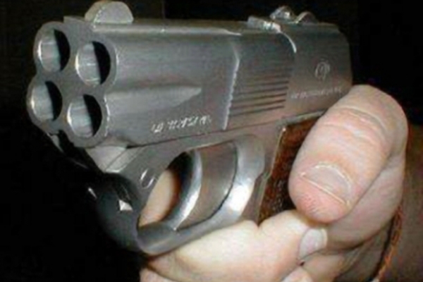 В Волгограде прокурор подстрелил бездомную собаку
