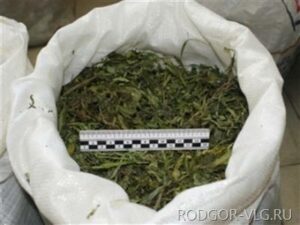 Волгоградские полицейские задержали наркодилера с 2,5 кг марихуаны