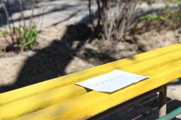 Волгоградцы в апреле присоединятся к всероссийскому субботнику