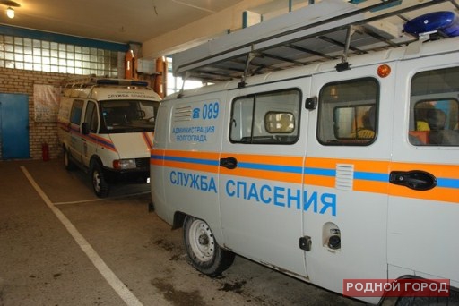 На юге Волгограда под стиральной машиной нашли живую змею
