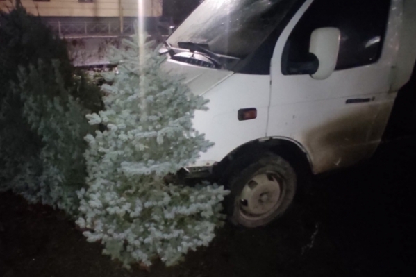 Водитель «Газели» не справился с управлением и разрушил элементы благоустройства