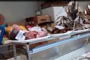 В Волгограде полицейские изъяли полтонны рыбы без документов