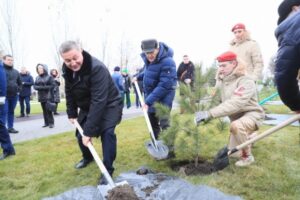 На главной высоте России в Волгограде появилась кедровая аллея
