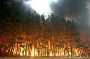 В 3 районах Волгоградской области – чрезвычайная пожароопасность