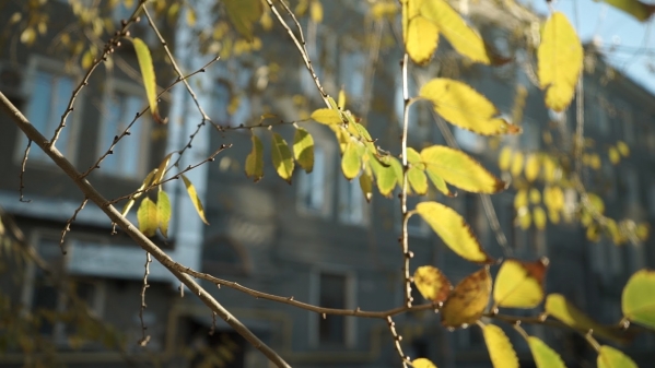 На Волгоградскую область надвигаются ночные заморозки до -4