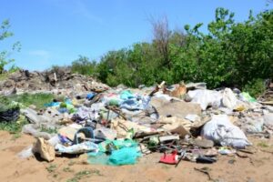 В Волгоградской области обнаружили свалку на 240 кв. м сельхозугодий