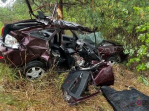 Под Волгоградом «Лада» влетела в дерево