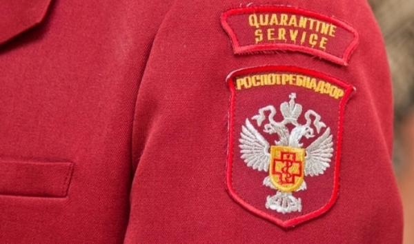 Волгоградцы интересовались на горячей линии профилактикой клещевых инфекций