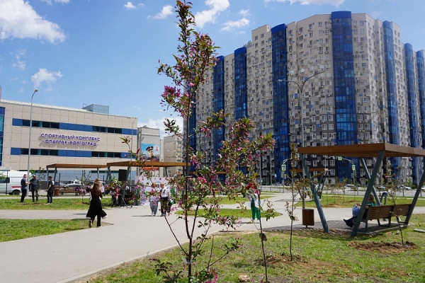 В Волгограде к 80-летию Победы высадили символичное количество деревьев