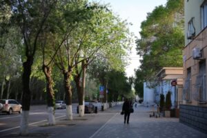 Волгоградцы выбирают территории для благоустройства