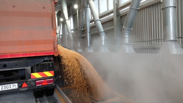 Волгоградские аграрии наращивают темпы экспорта зерна